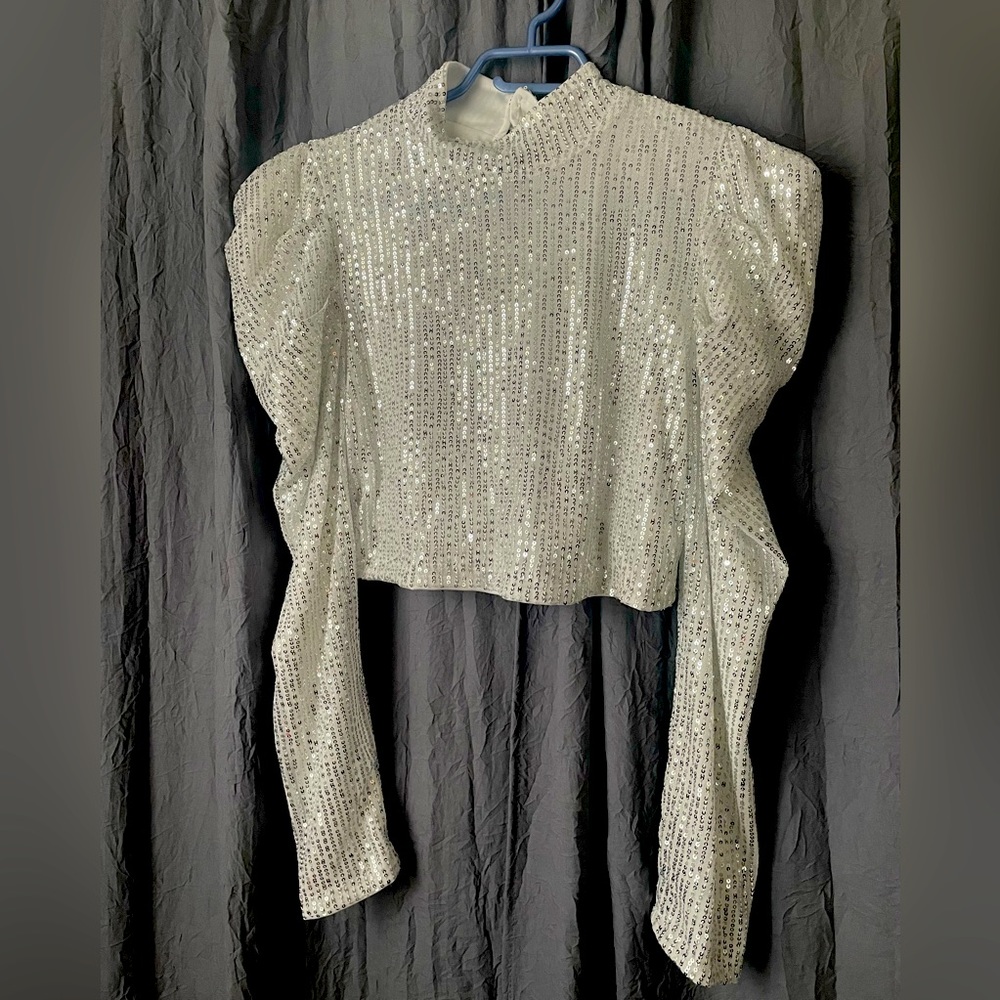 Silver sequin mock neck top. Cute, puff sleeve, buttons at back of neck.